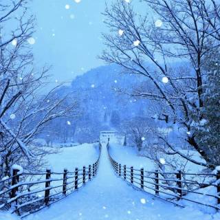 iPad HD winter wallpaper