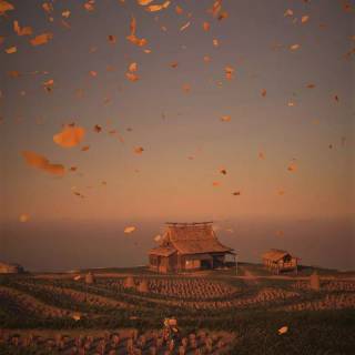 Minimal warm wallpaper