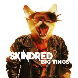 Skindred wallpaper