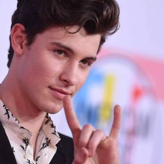 Shawn Mendes wallpaper