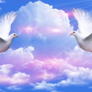 Rest in peace wallpaper