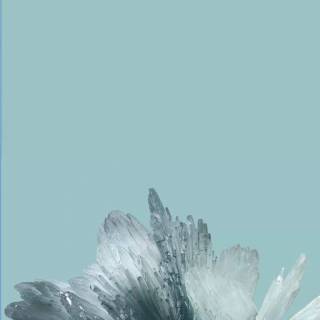 Google Pixel wallpaper