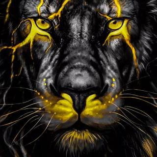 Lion wallpaper