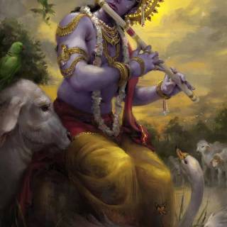 Krishna wallpaper