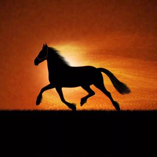 Horse wallpaper