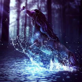 Horse in water wallpaper