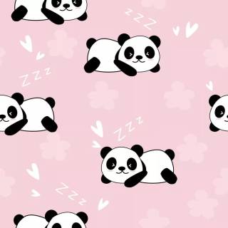 Panda wallpaper