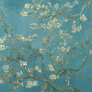 Vincent van Gogh wallpaper