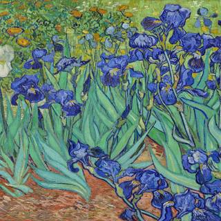 Vincent van Gogh wallpaper