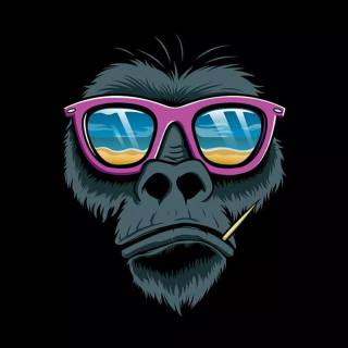 Monkey wallpaper