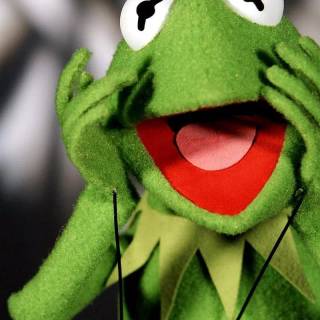 Kermit the Frog wallpaper