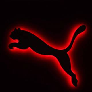 Puma wallpaper