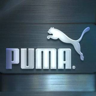 Puma wallpaper