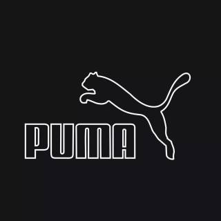 Puma wallpaper