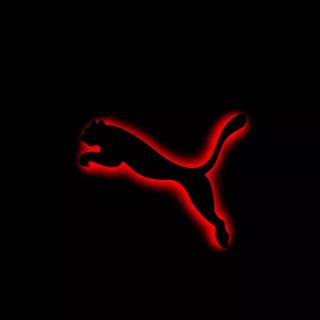 Puma wallpaper
