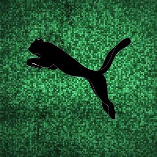 Puma wallpaper