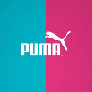 Puma wallpaper