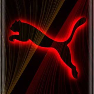 Puma wallpaper