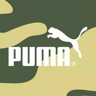 Puma wallpaper