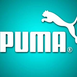 Puma wallpaper
