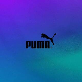 Puma wallpaper