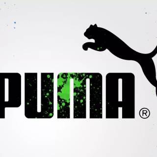 Puma wallpaper
