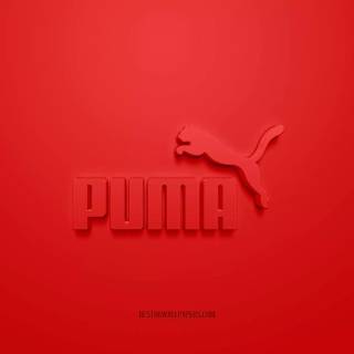 Puma wallpaper