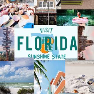 Florida wallpaper