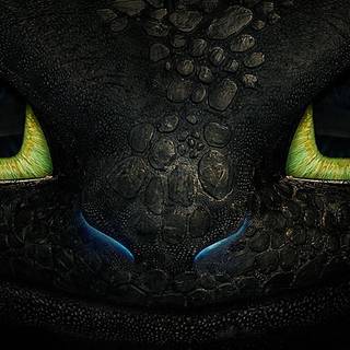 Toothless wallpaper