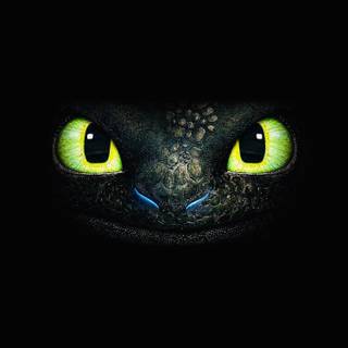 Toothless wallpaper