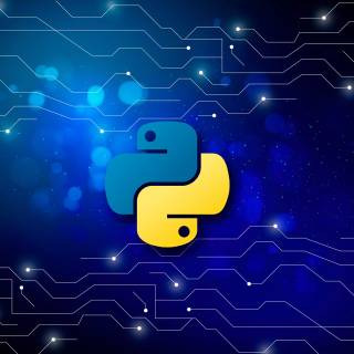 Python wallpaper