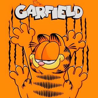 Garfield wallpaper