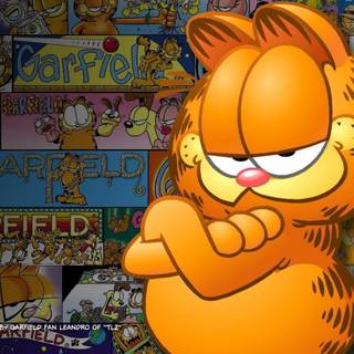 Garfield wallpaper