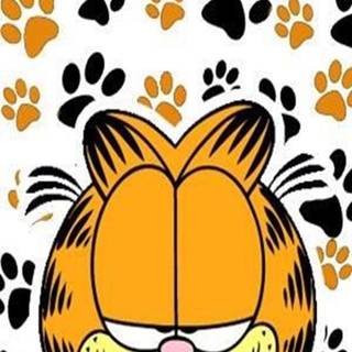 Garfield wallpaper