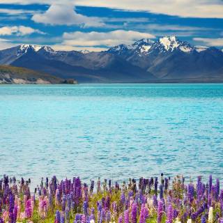 New Zealand wallpaper