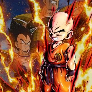 Krillin wallpaper