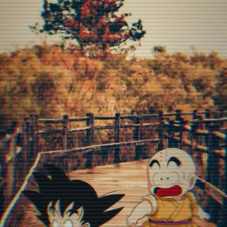 Krillin wallpaper
