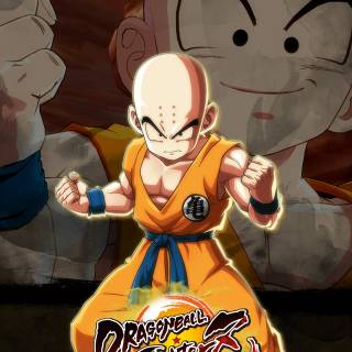 Krillin wallpaper