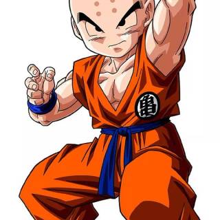 Krillin wallpaper