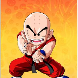 Krillin wallpaper