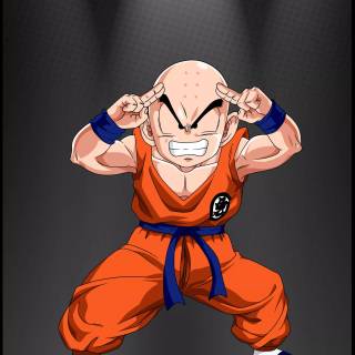 Krillin wallpaper