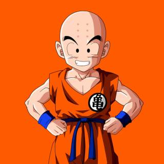 Krillin wallpaper