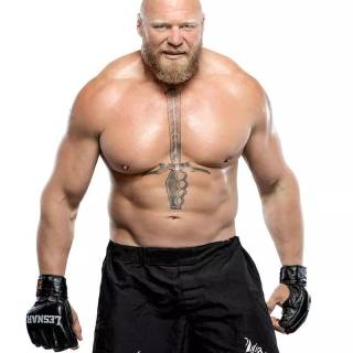 Brock Lesnar wallpaper