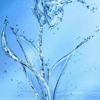 Water wallpaper
