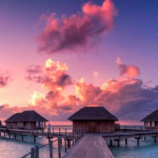 Maldives wallpaper