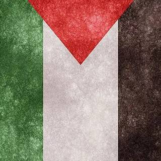 Palestine wallpaper
