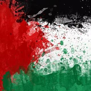 Palestine wallpaper