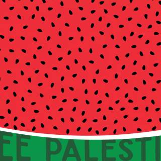 Palestine wallpaper
