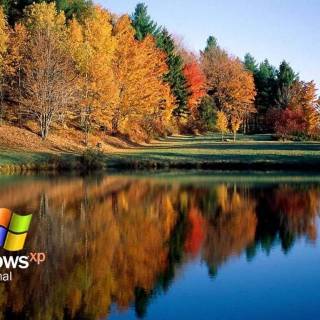 Windows XP wallpaper