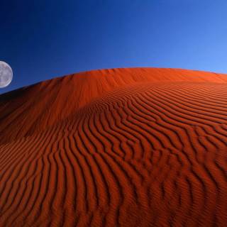 Windows XP wallpaper